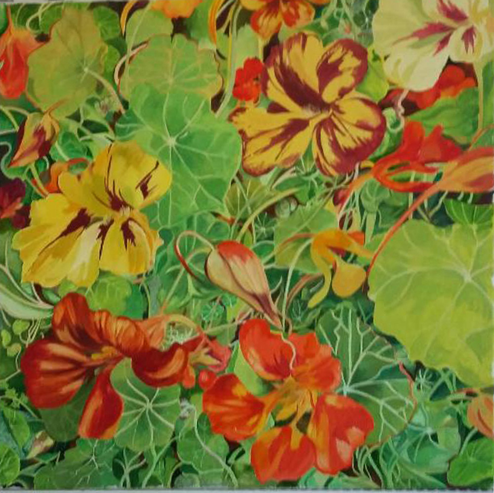 Sarah Raven’s Nasturtiums 2